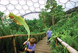 Eden Project
